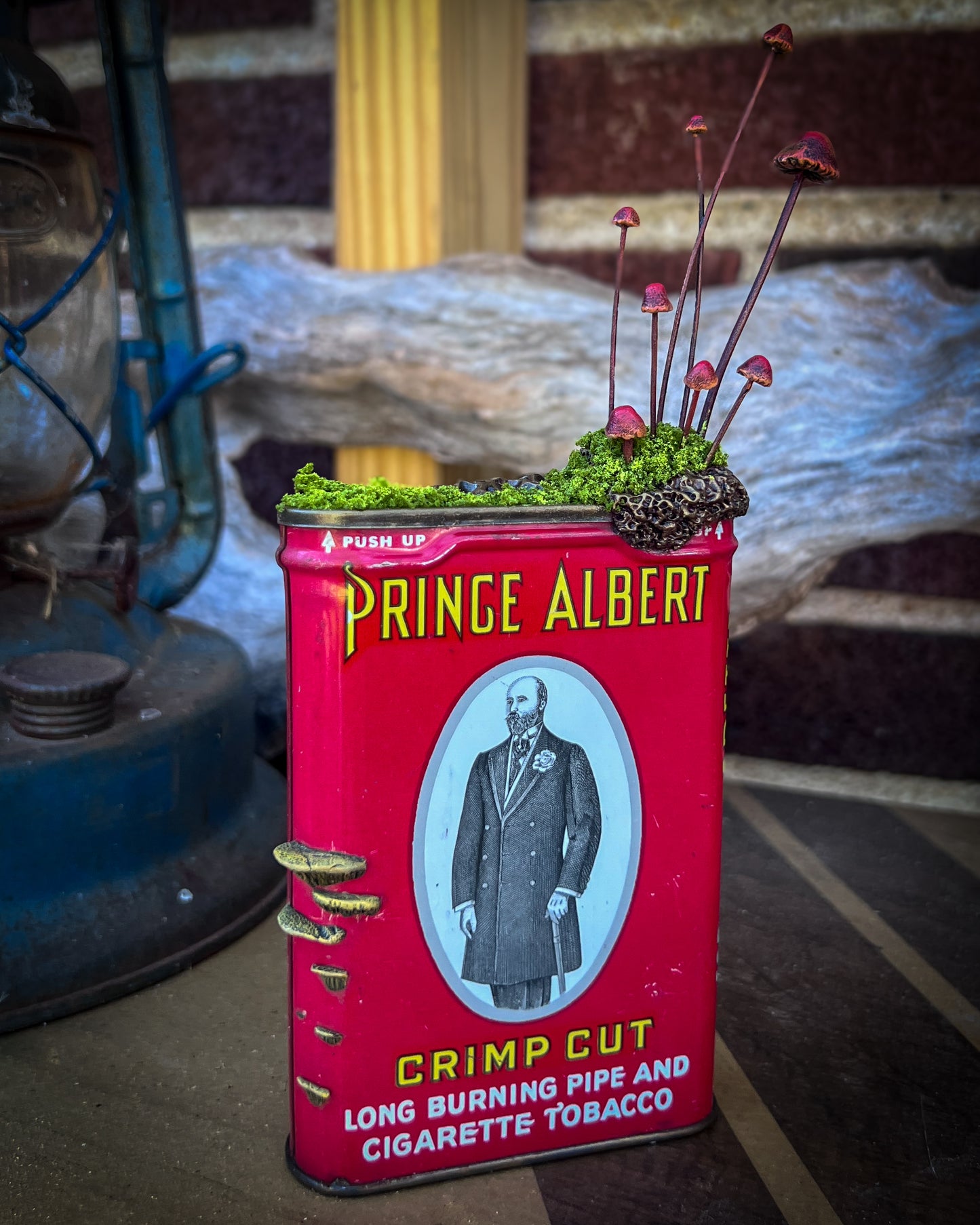 “Prince Albert Relic” – Found Object Sculpture with Moss & Handmade Mushrooms