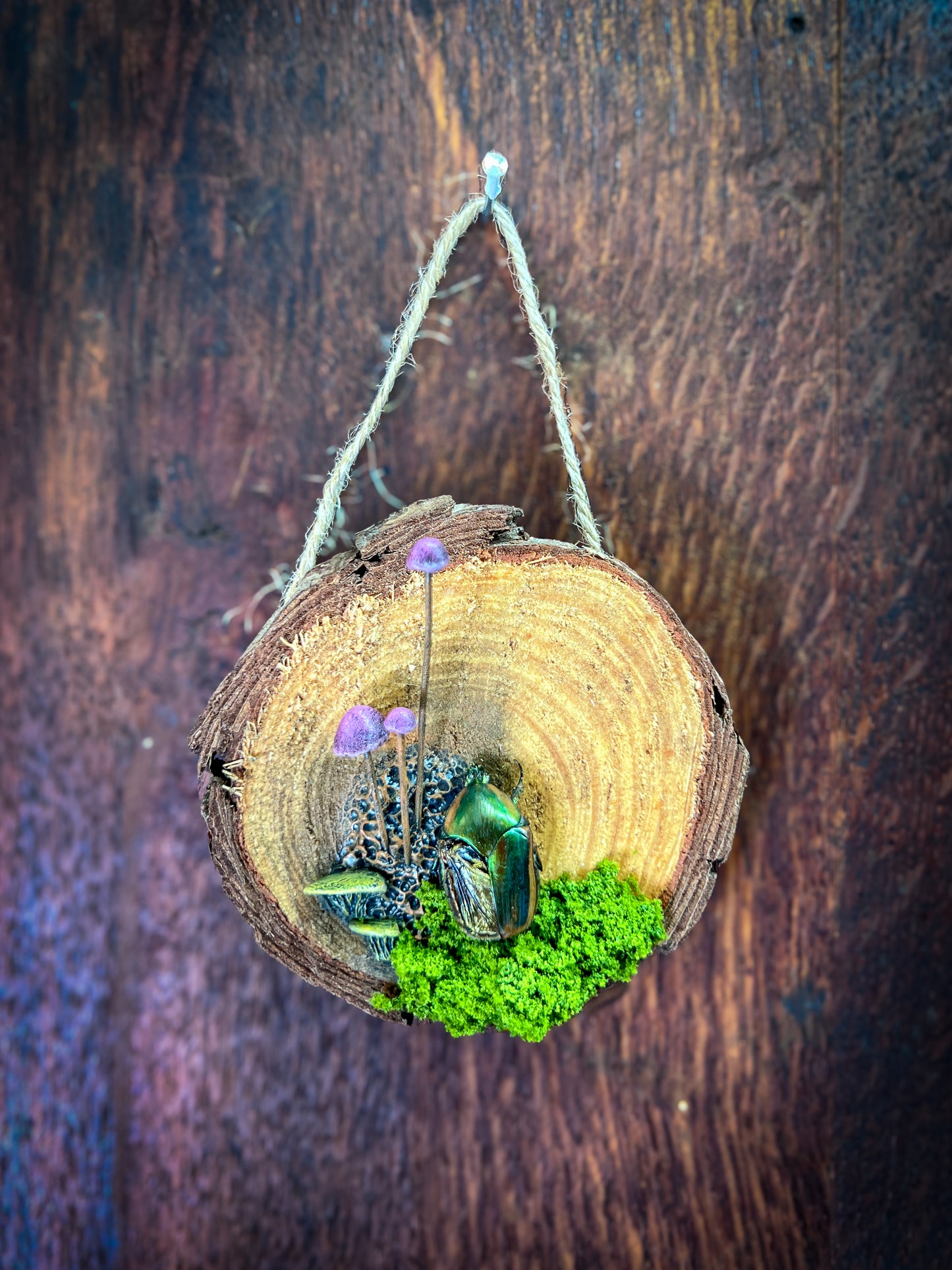 Spores & Remains No. 3 – Green June Beetle Mixed Media Wall Art